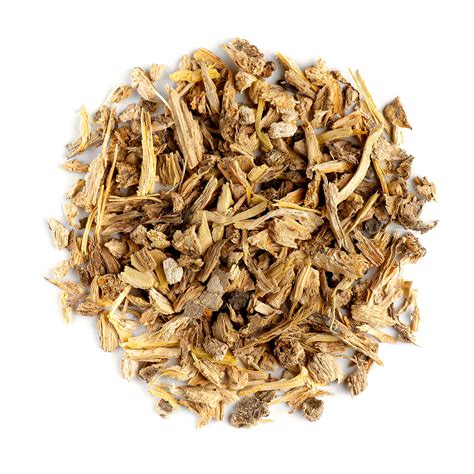 angelic roots|where to buy angelica root.